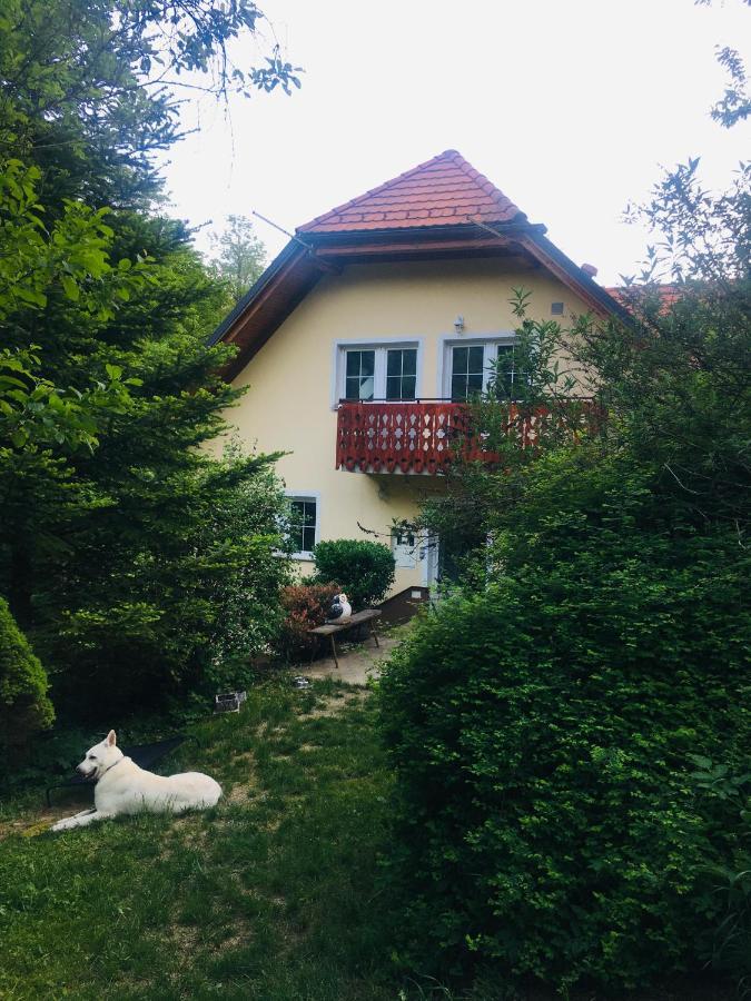 Апартаменты Nicehead Spacious Nest Between Maribor And Celje Лоче-при-Польчана Экстерьер фото