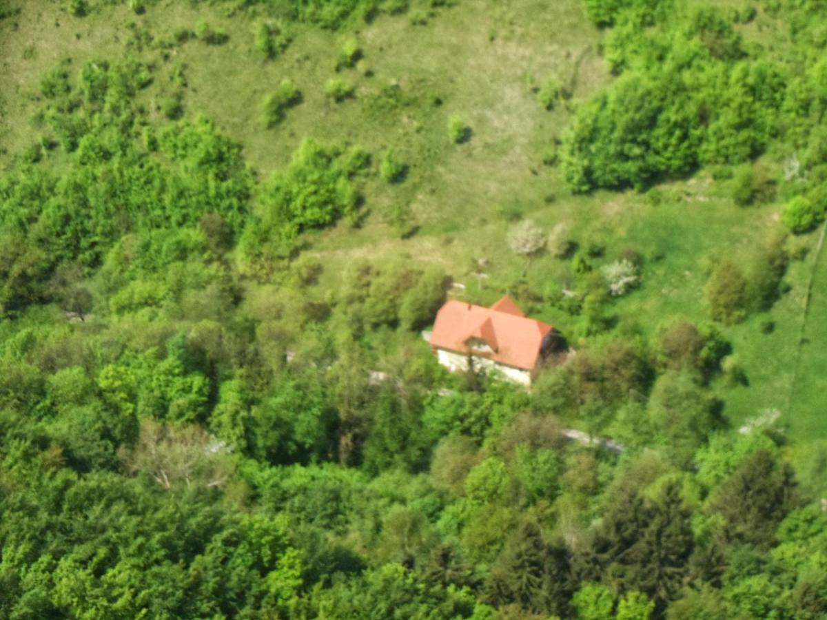 Апартаменты Nicehead Spacious Nest Between Maribor And Celje Лоче-при-Польчана Экстерьер фото