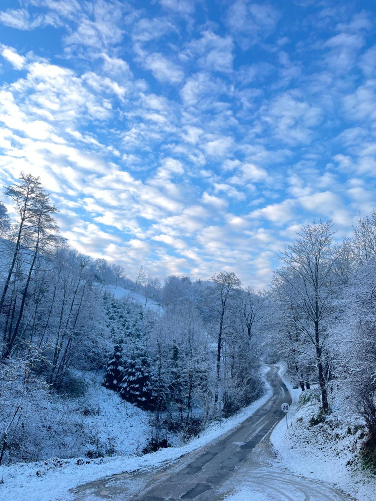 Апартаменты Nicehead Spacious Nest Between Maribor And Celje Лоче-при-Польчана Экстерьер фото